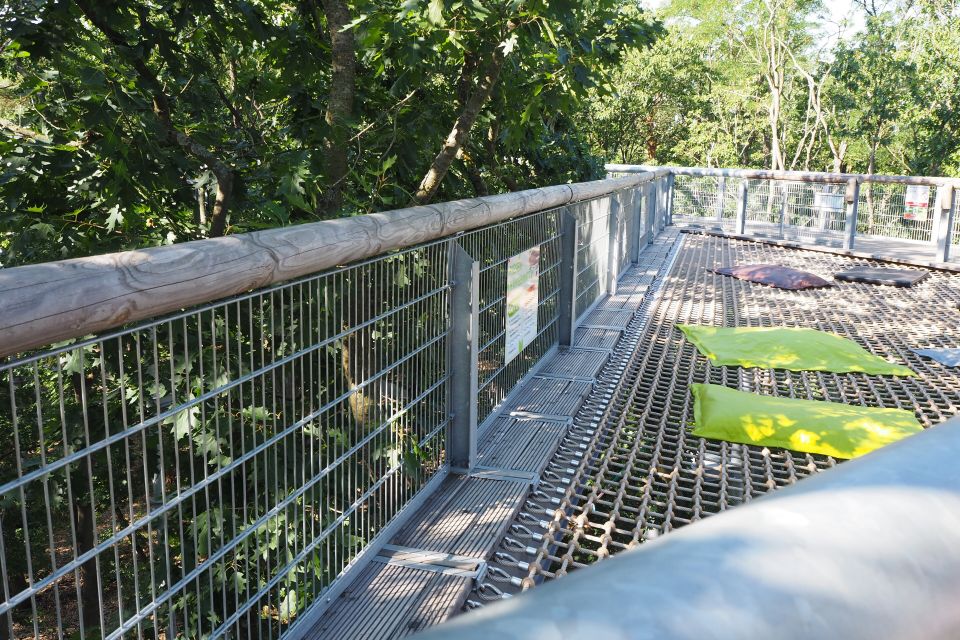 Hängematte, Foto: Anne Borkmann, Lizenz: Tourismusverband Fläming e.V.